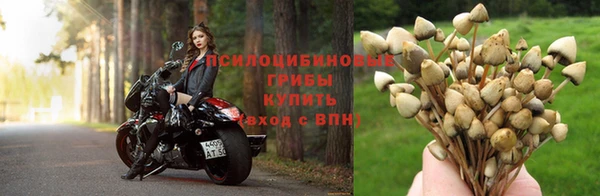 дживик Кодинск