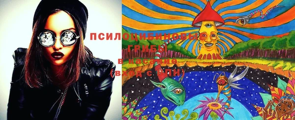 дживик Кодинск