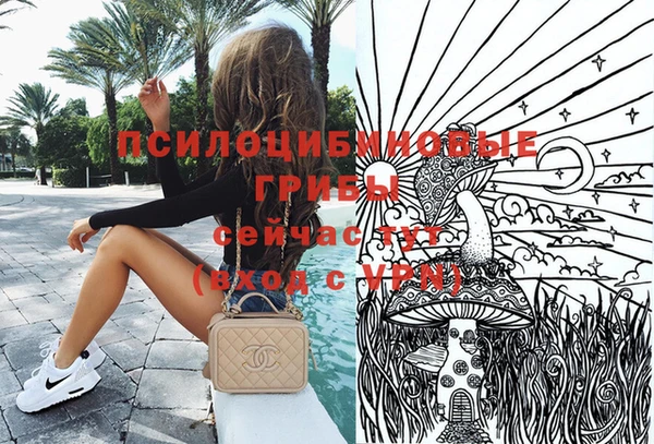 дживик Кодинск