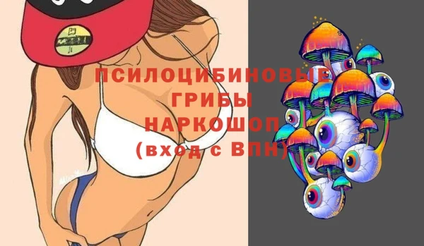 ГАЛЛЮЦИНОГЕННЫЕ ГРИБЫ Болхов