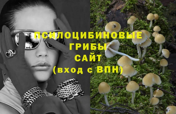 apvp Козловка