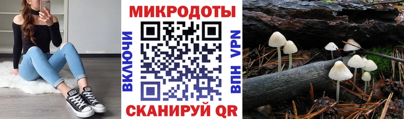 Галлюциногенные грибы Psilocybine cubensis  Кораблино 